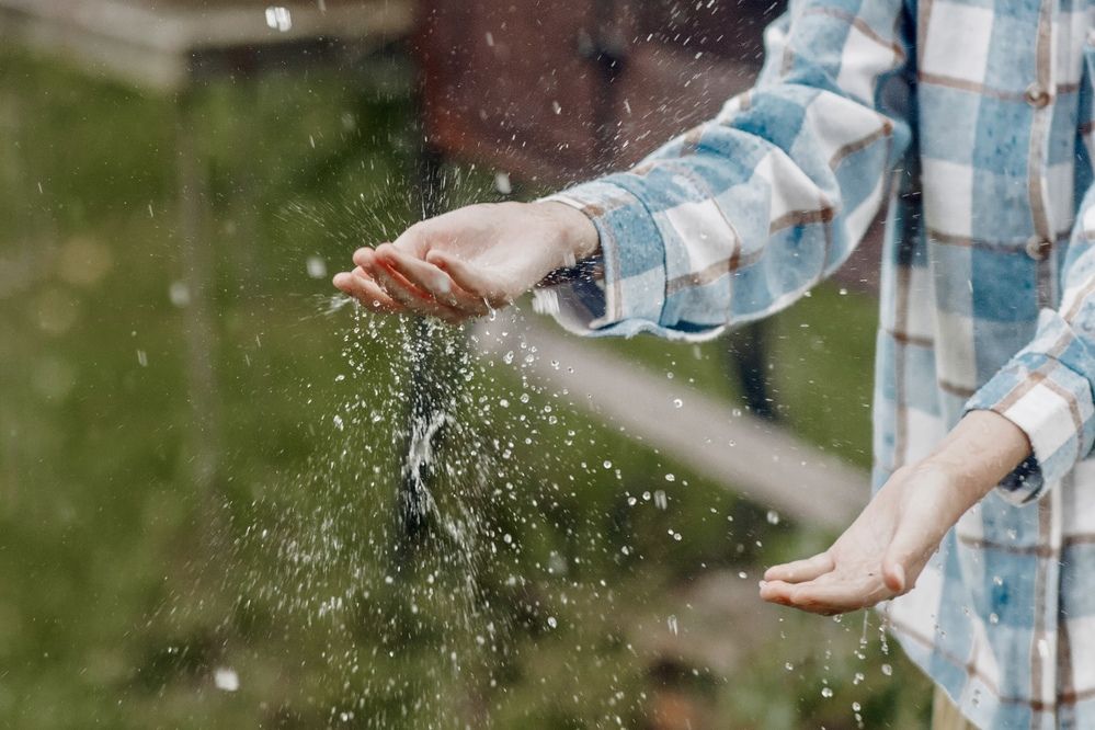 Photograph by Ольга Хентова