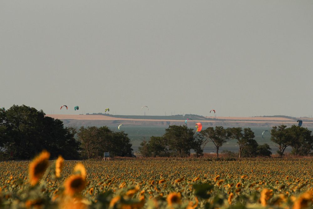 Фотография автора Полина Ишкина