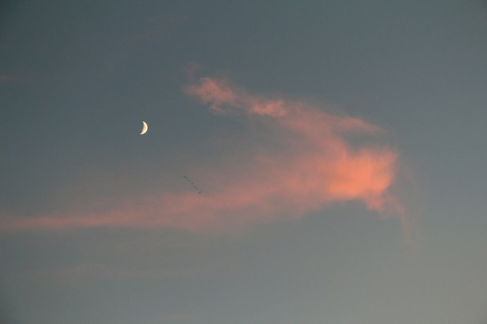 Фотография автора Полина Ишкина