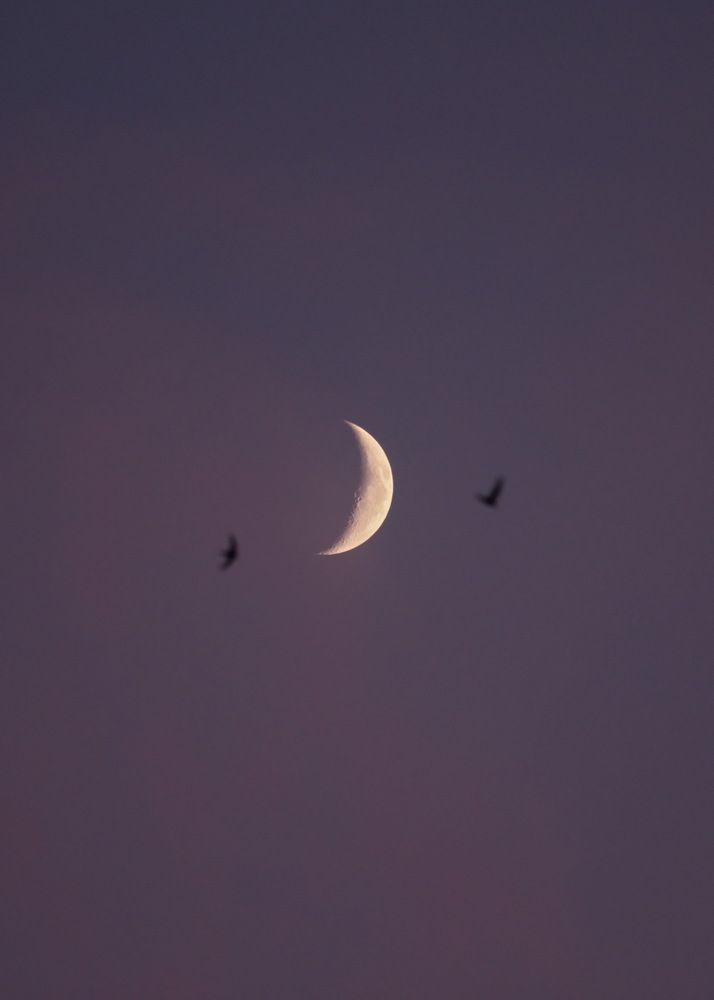 Фотография автора Полина Ишкина