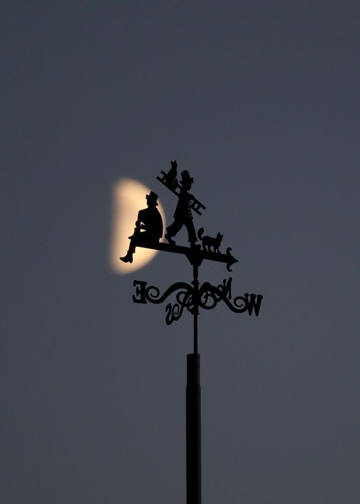 Фотография автора Полина Ишкина