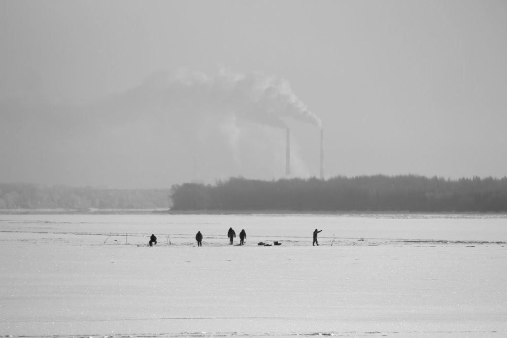 Фотография автора Полина Ишкина