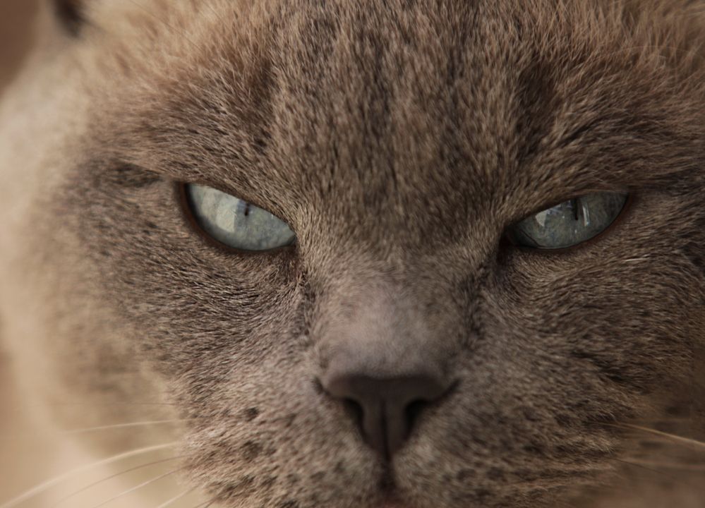 Фотография автора Полина Ишкина