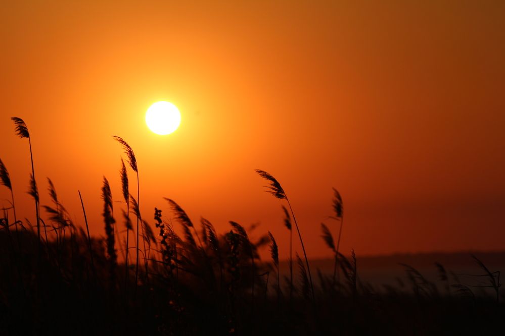 Photograph by Полина Ишкина