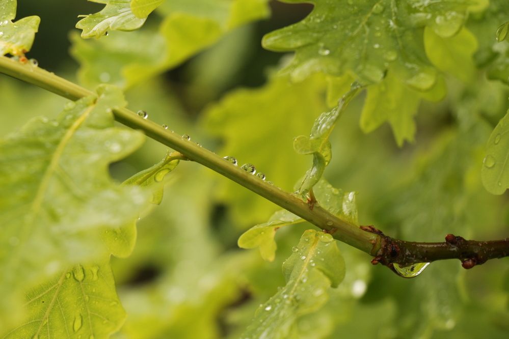 Фотография автора Полина Ишкина