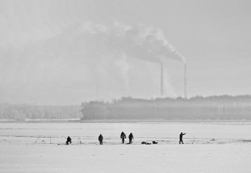 Фотография автора Полина Ишкина