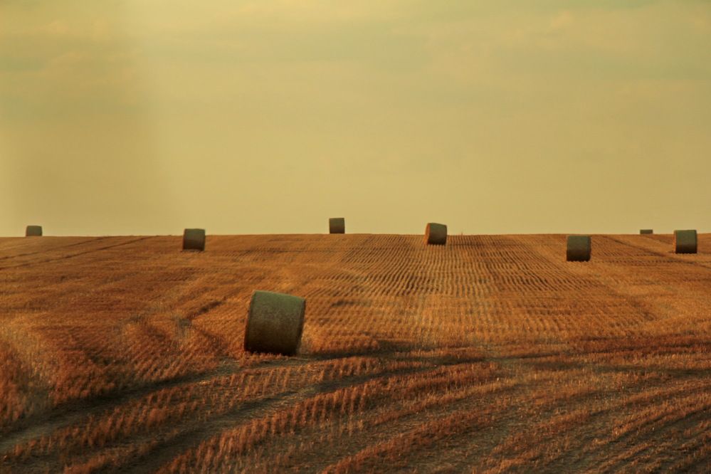 Фотография автора Полина Ишкина