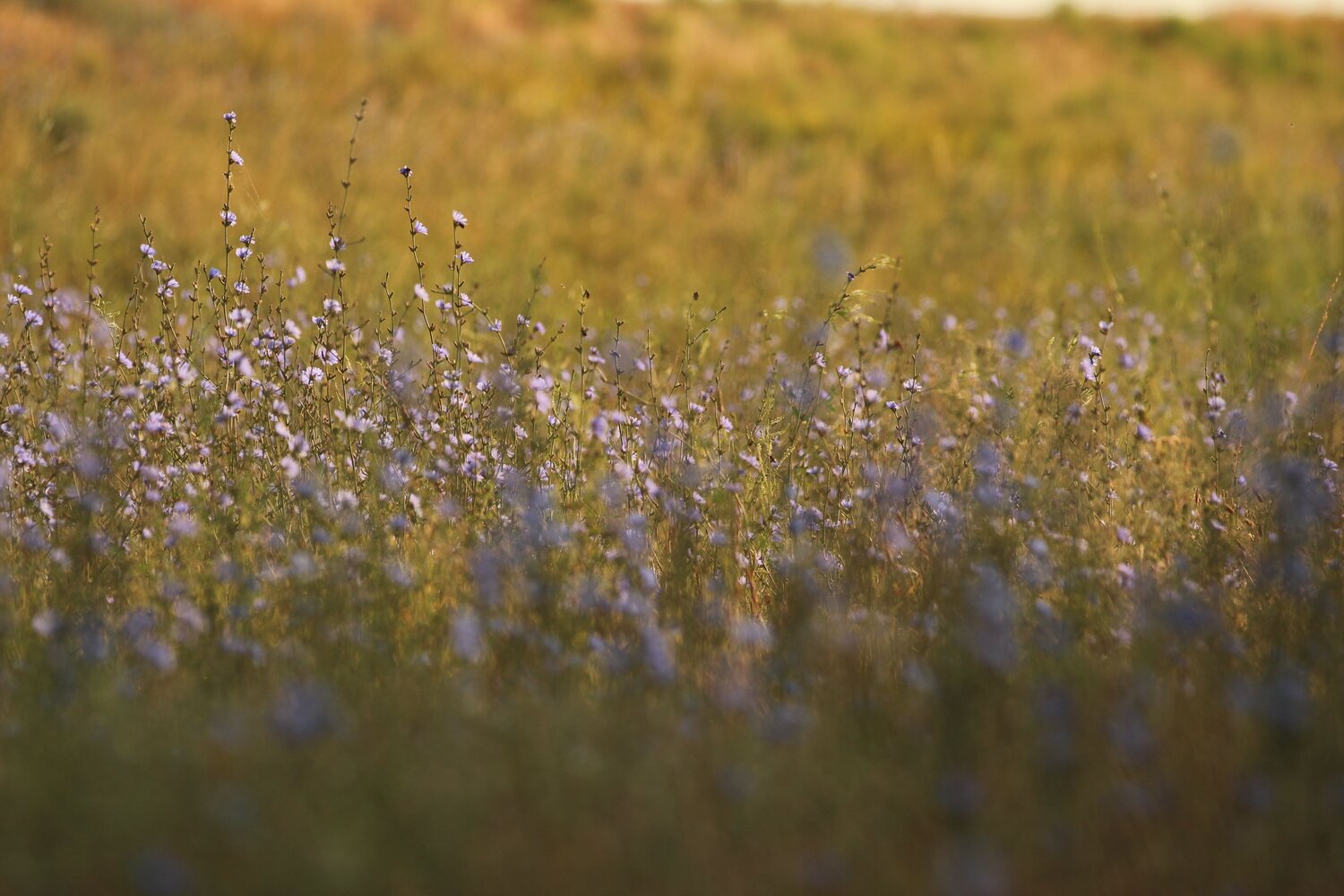 Photo #12624189