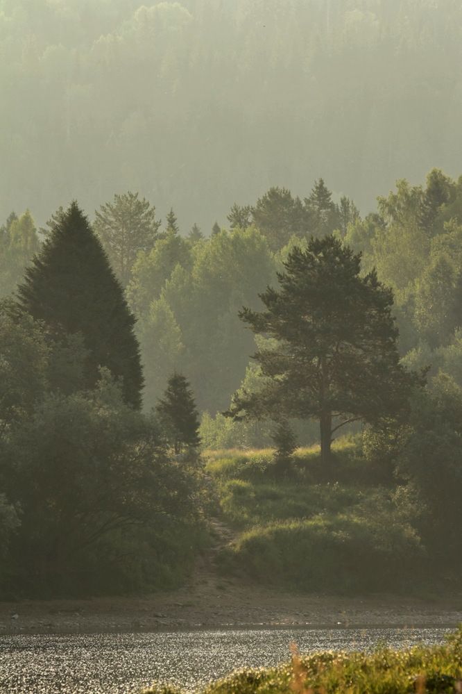 Photograph by Полина Ишкина