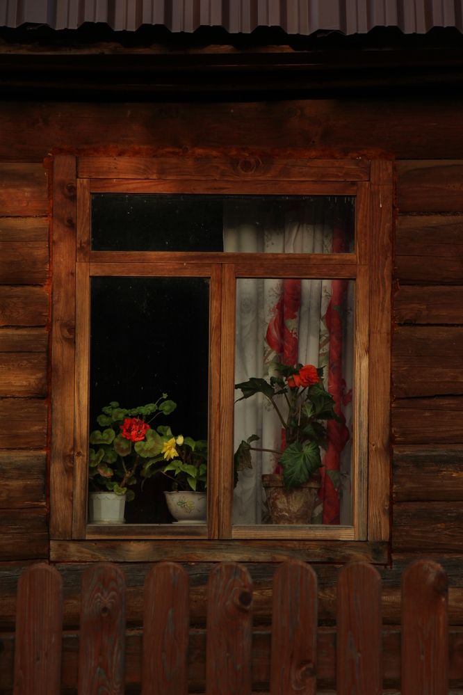 Photograph by Полина Ишкина