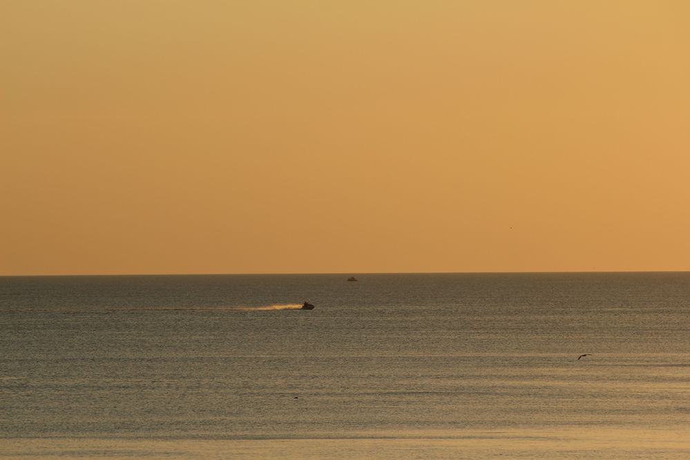 Фотография автора Полина Ишкина