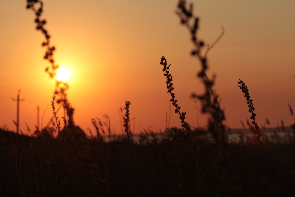 Photograph by Полина Ишкина