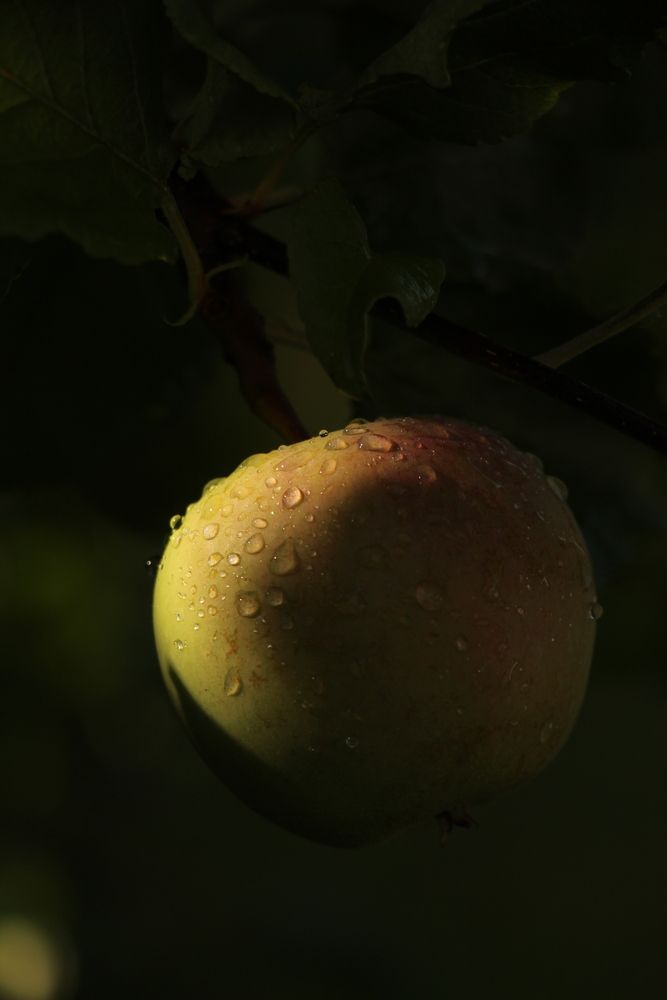 Photograph by Полина Ишкина