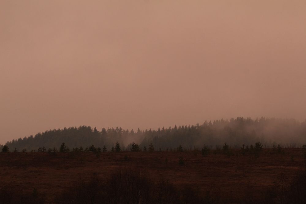 Фотография автора Полина Ишкина