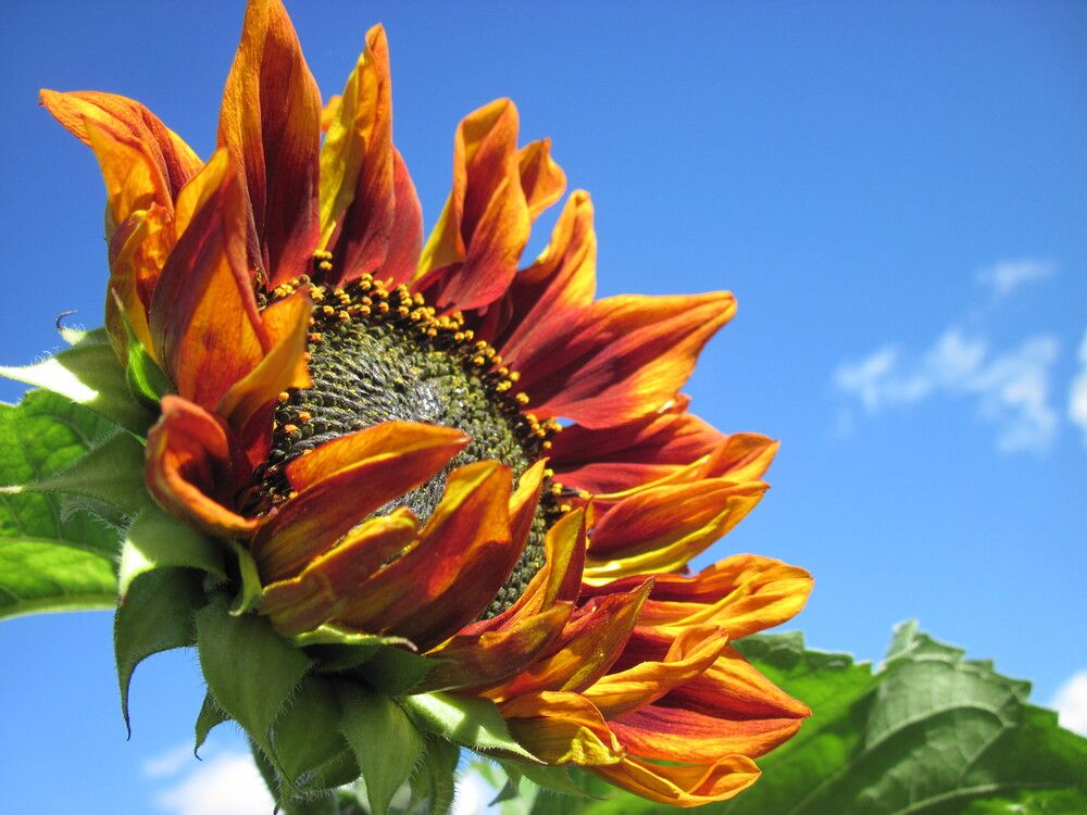 Фотография автора Георгий Самусевич