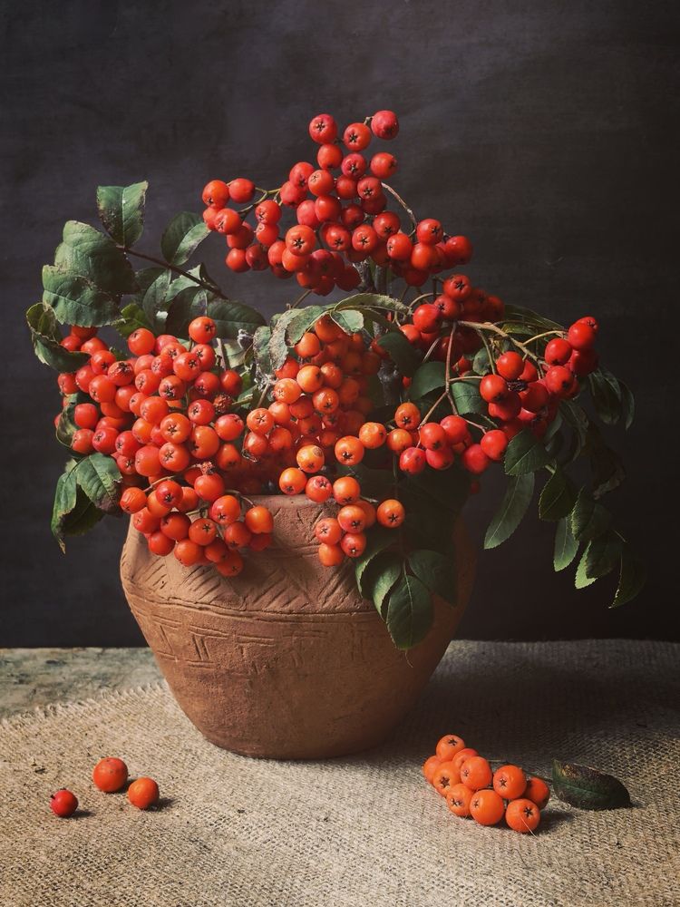 \"Осенняя щедрость рябины\"