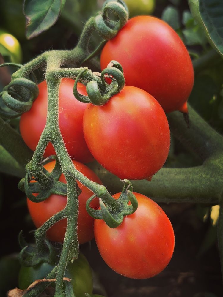 Photograph by Анна Якубинас