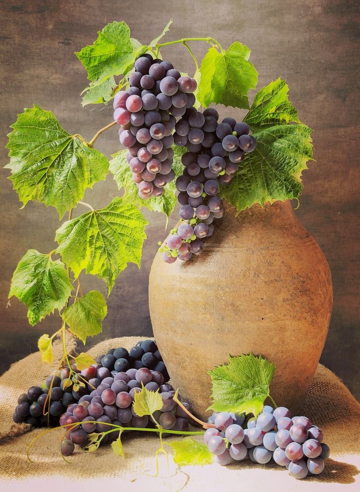 Photograph by Анна Якубинас