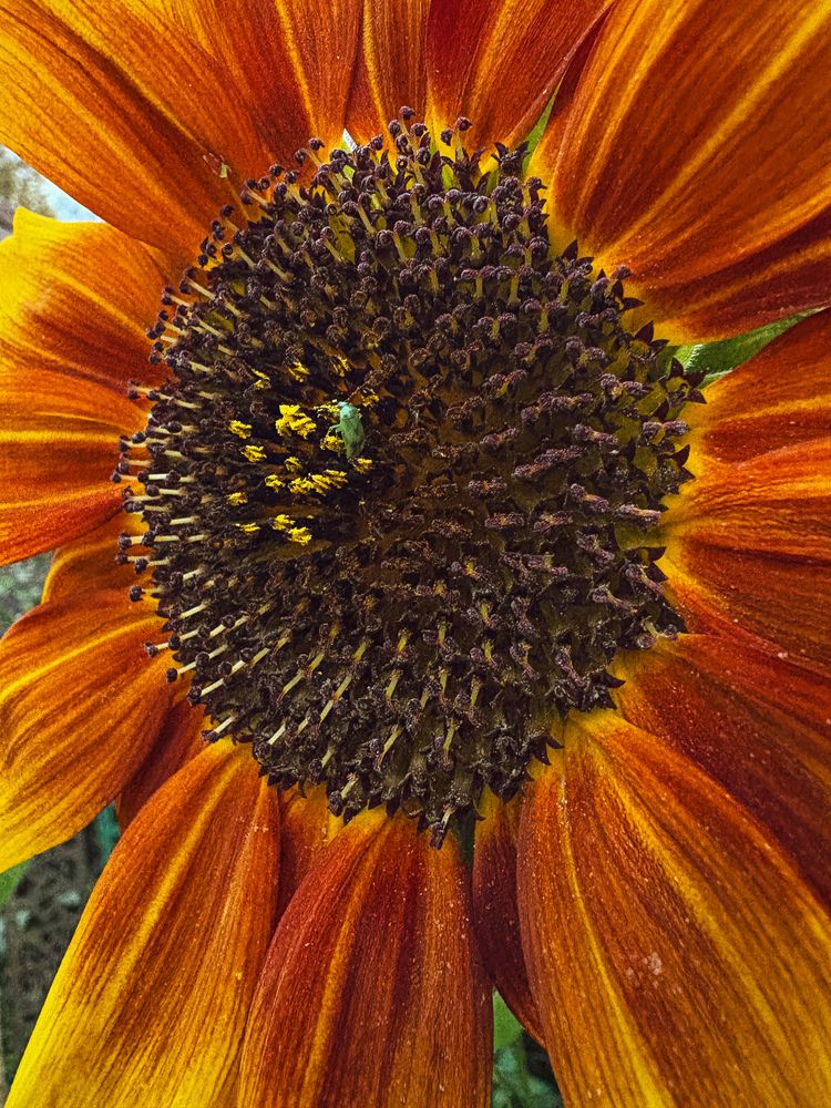 Photograph by Марина Харитонова