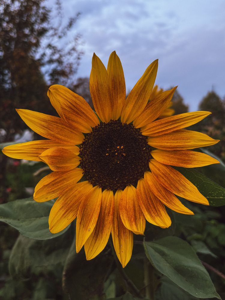 Photograph by Марина Харитонова