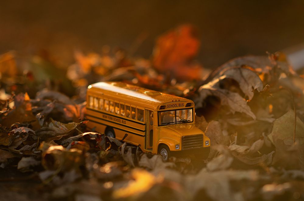 Фотография автора Юлия Борт