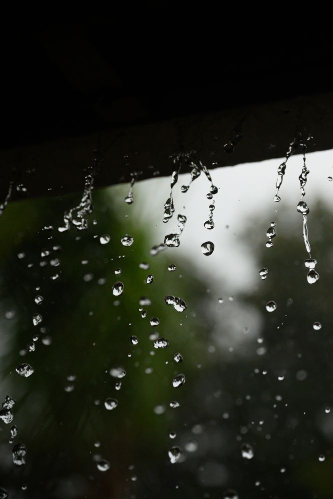 Photograph by Anna Vlasova