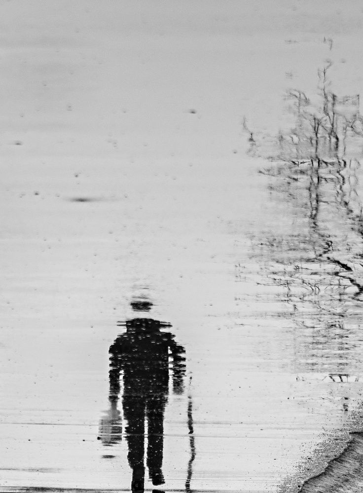 Photograph by Сергей Басов