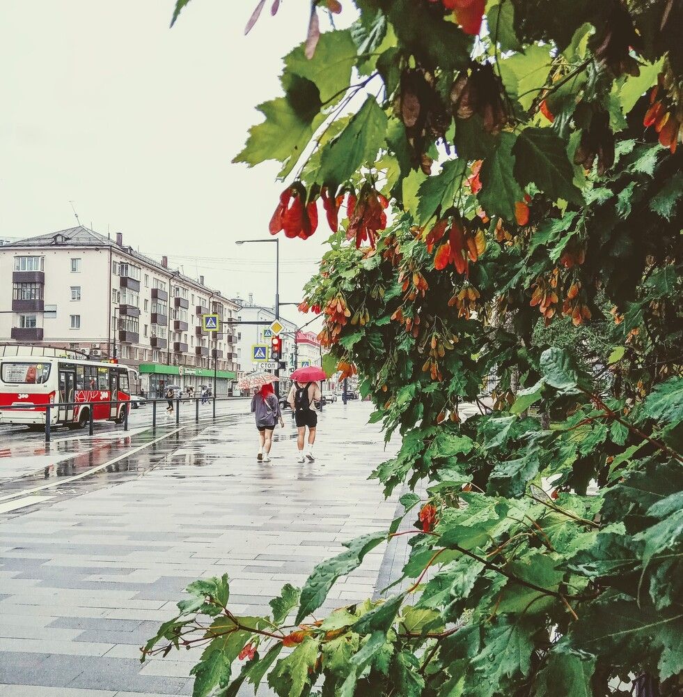 Просто летний дождь идет