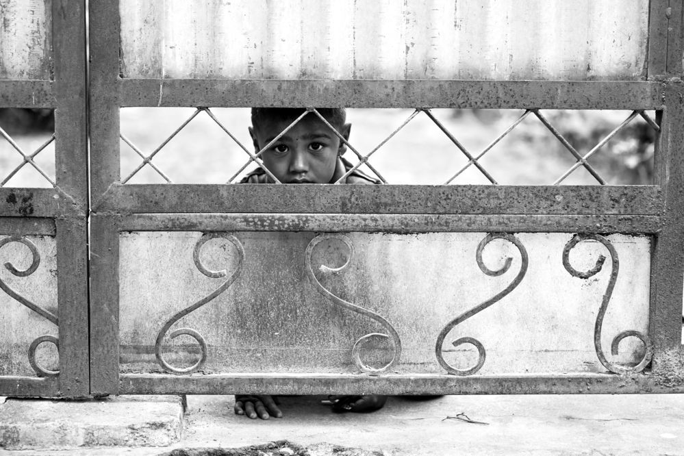 Фотография автора Елена Гридневская