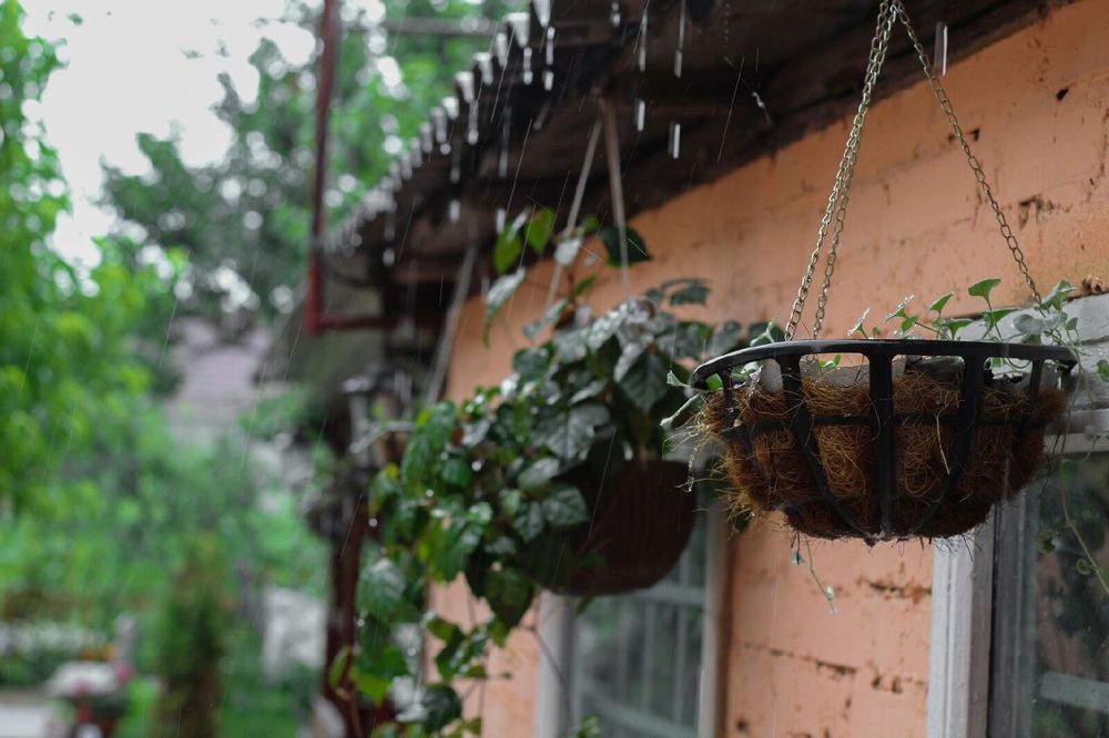 Photograph by Анна Зайченко