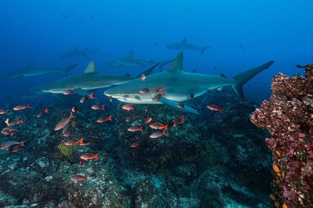 Photograph by Gabriel Vieira Costa