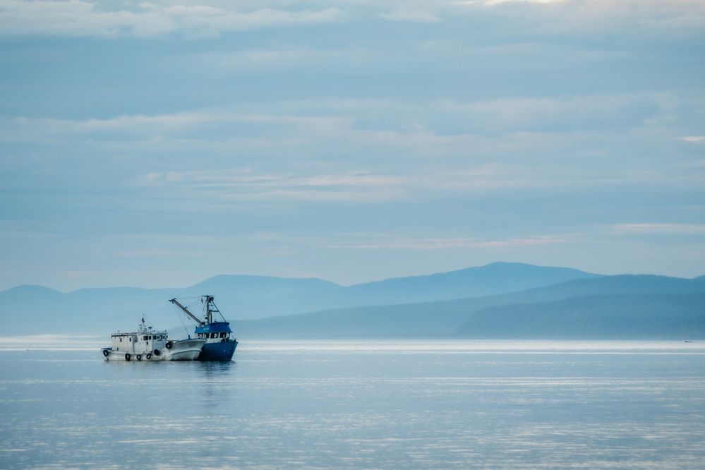 Photograph by Вячеслав Косенков