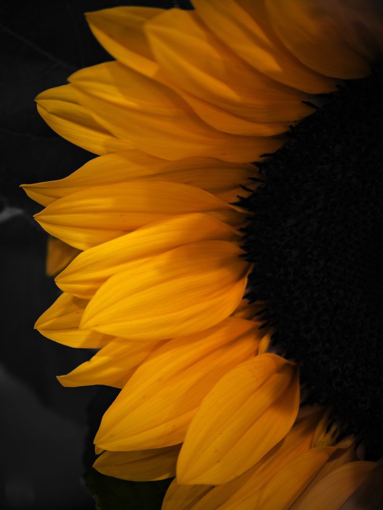 Photograph by Usama Akhtar