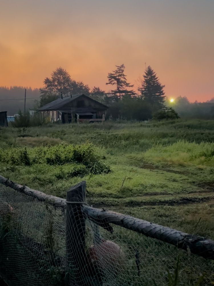 Photograph by Вячеслав Косенков