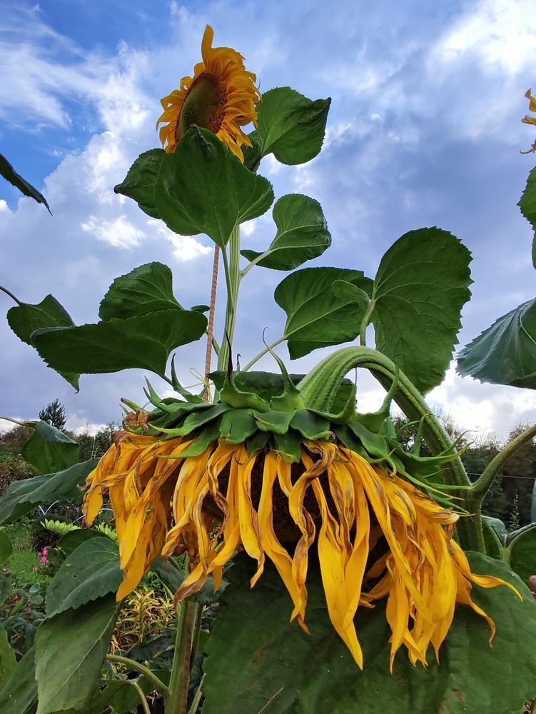 Photograph by Елена Белькова