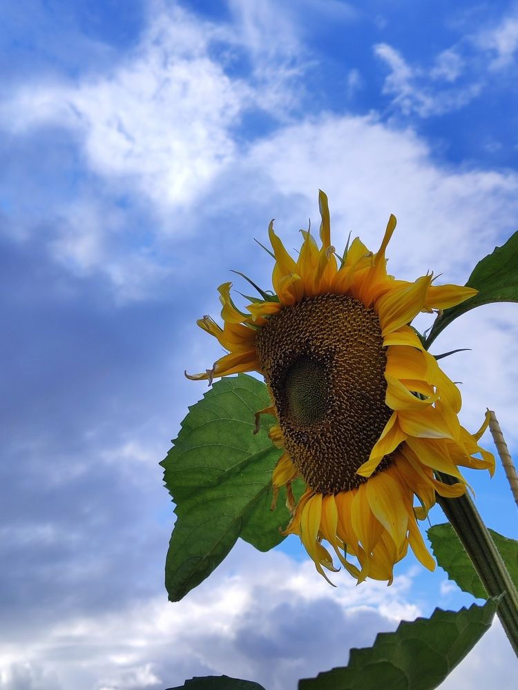 Photograph by Елена Белькова