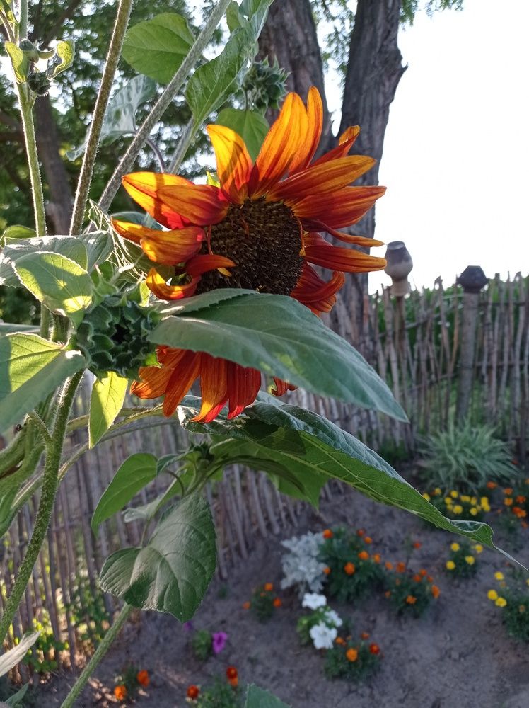 Photograph by Ирина Марченко