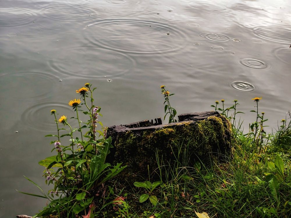 Photograph by Татьяна Соколовская