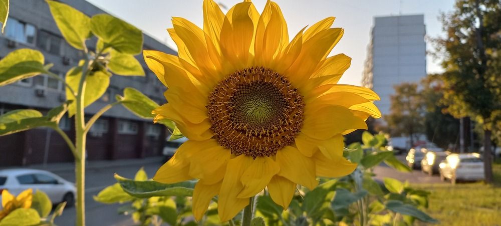 Фотография автора Александр Кожевников