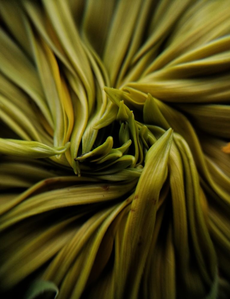 Photograph by Кристина Феминова