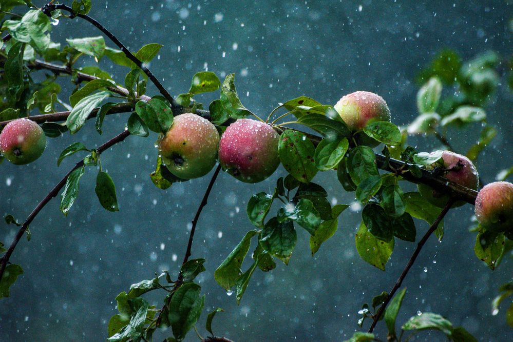 Photograph by Ольга