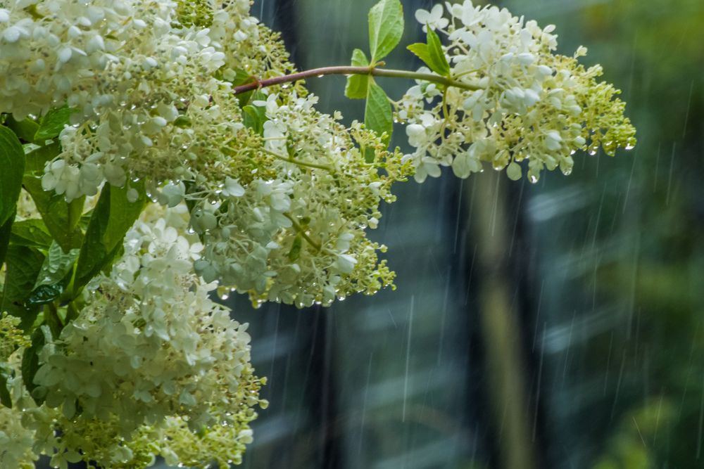 Photograph by Ольга