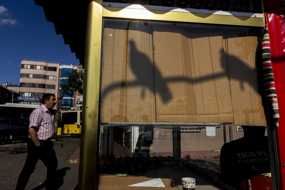 Photograph by Hayrullah METE