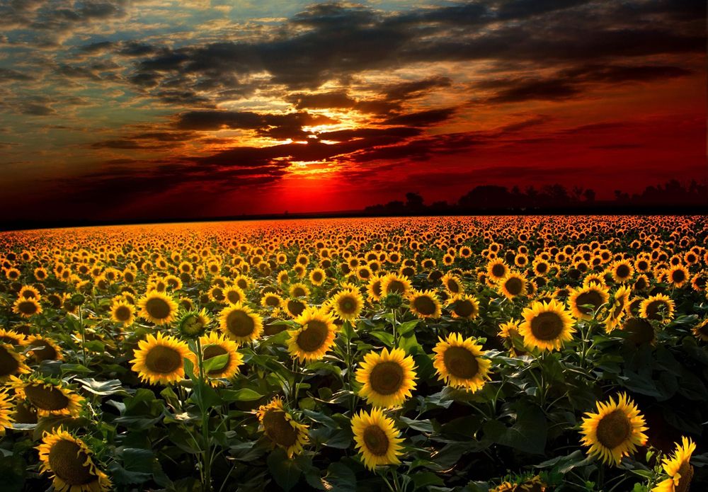 Photograph by Михаил Терёхин