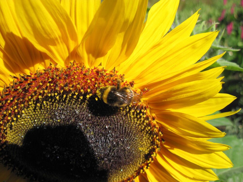 Фотография автора Георгий Самусевич