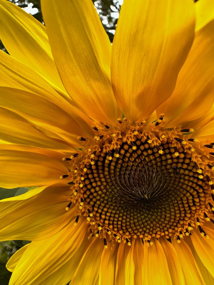 Photograph by Алёна Стародубцева