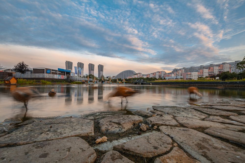 Photograph by Максим Жухлистов