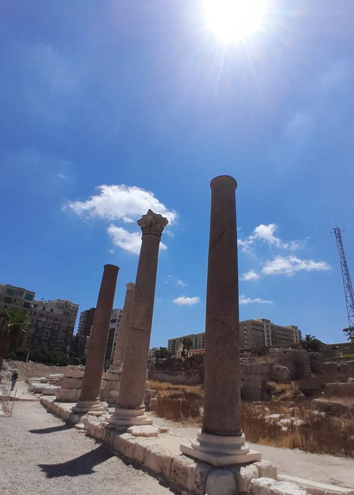 Photograph by mahmoud saeed