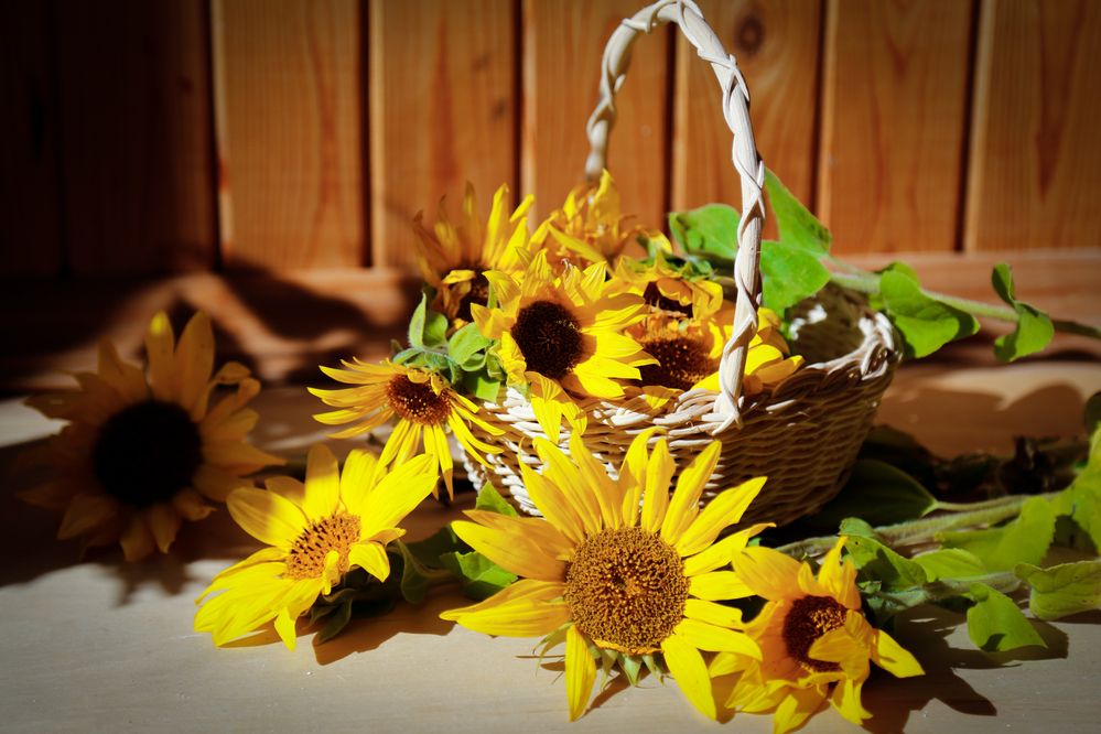 Photograph by Елена Буканина