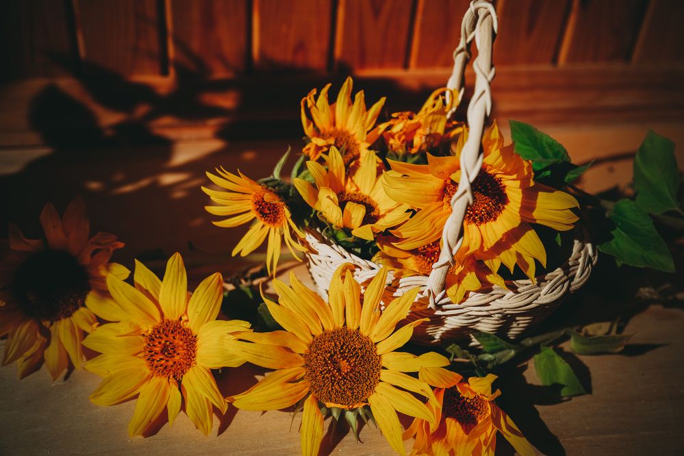 Photograph by Елена Буканина